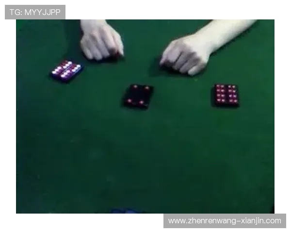 二八杠游戏规则详解，帮助新手快速掌握玩法要点