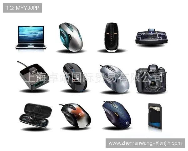 全面解析AG国际厅登录入口稳定性与安全性的详细使用指南 全面解析AG国际厅登录入口稳定性与安全性的详细使用指南