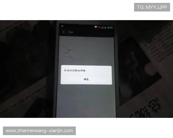 亚博YB手机官方地址2024最新版,快速访问官方平台的最佳途径 亚博YB手机官方地址2024最新版,快速访问官方平台的最佳途径