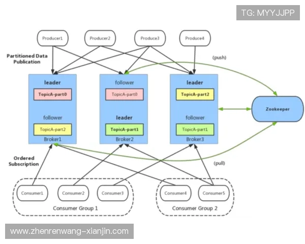 PA百家官网用户指南，详细操作流程与常见问题解答全方位覆盖