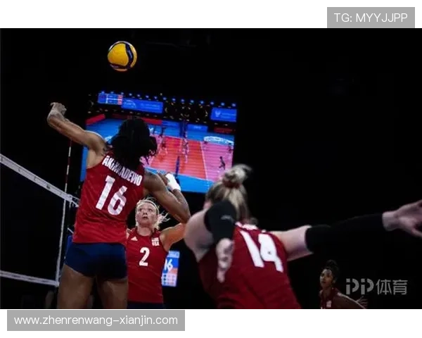 K8体育APP与其他体育直播平台的比较分析，帮你做出最优选择