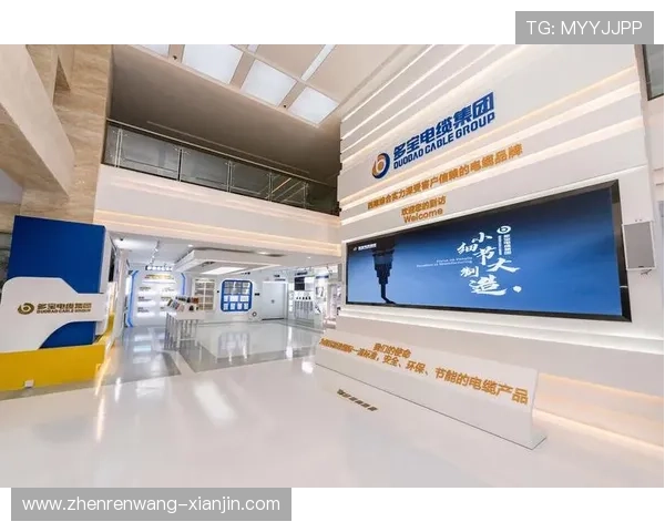 多宝视讯是哪里的公司详细介绍及其背景信息解析